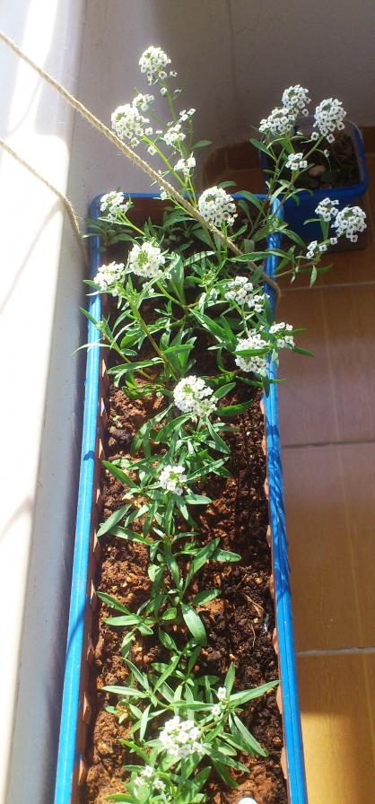 Name:  048.jpg
Views: 365
Size:  79.1 KB