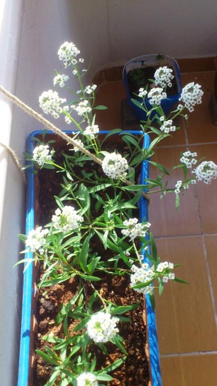 Name:  049.jpg
Views: 372
Size:  58.2 KB