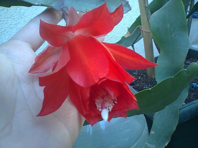 Name:  12-14.05.2016-1.jpg
Views: 376
Size:  38.9 KB