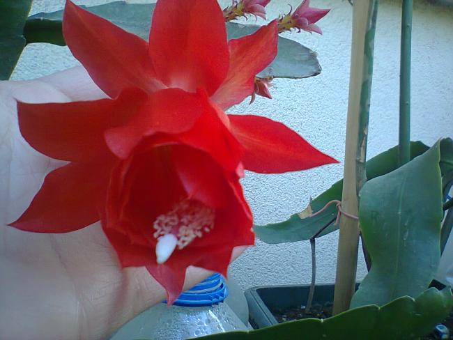 Name:  12-14.05.2016-2.jpg
Views: 378
Size:  43.2 KB