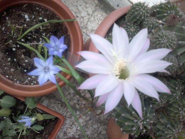 Name:  150520164547.jpg
Views: 352
Size:  51.7 KB