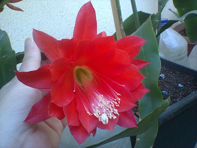Name:  Fotoraf3988.jpg
Views: 527
Size:  43.0 KB