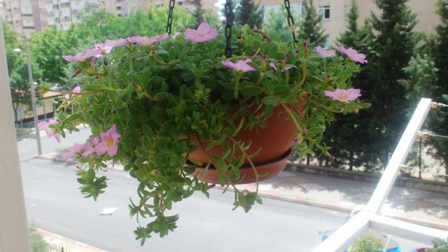 Name:  147.jpg
Views: 309
Size:  41.8 KB