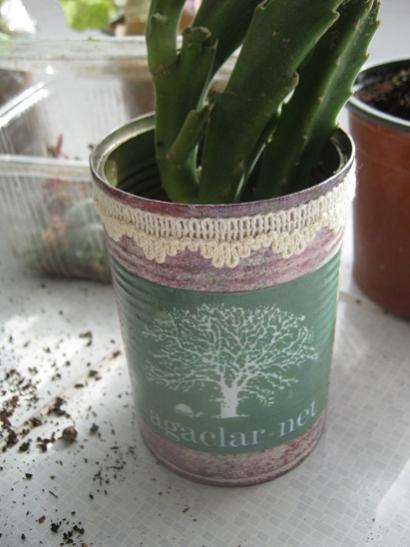 Name:  agaclar net.jpg
Views: 694
Size:  31.1 KB