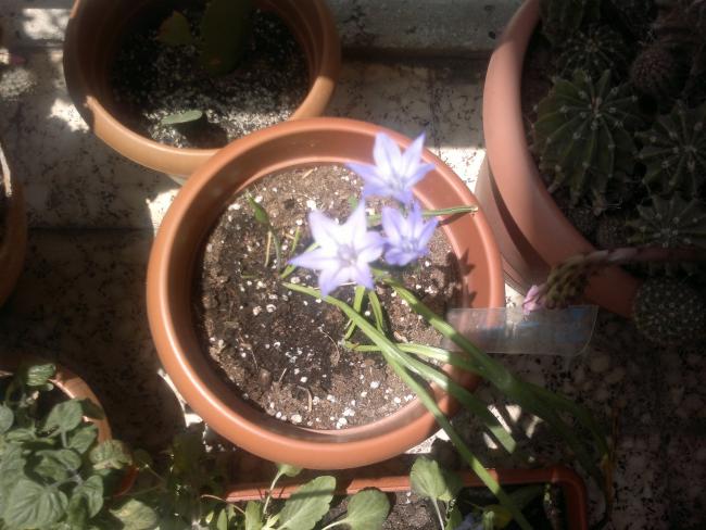 Name:  160520164566.jpg
Views: 319
Size:  50.1 KB