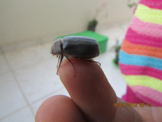 Name:  IMG_3142.jpg
Views: 876
Size:  22.3 KB