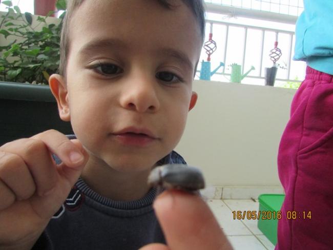 Name:  IMG_3145.jpg
Views: 854
Size:  32.7 KB