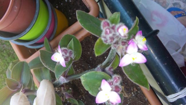 Name:  20160516_114106.jpg
Views: 316
Size:  35.9 KB