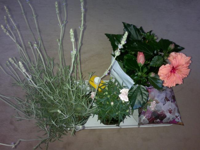Name:  170520164605.jpg
Views: 585
Size:  44.8 KB