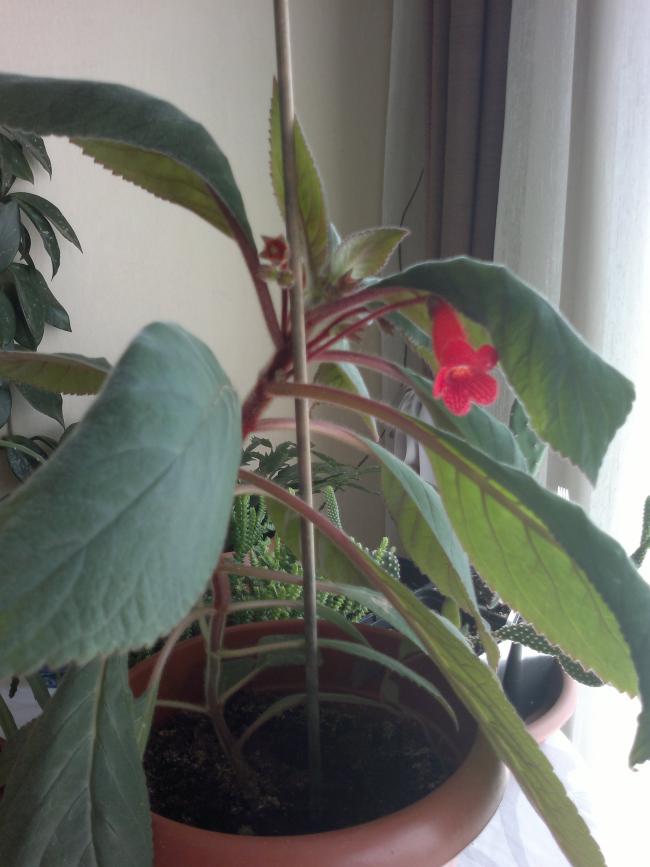 Name:  190520164634.jpg
Views: 599
Size:  53.5 KB