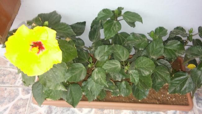 Name:  20160521_182801.jpg
Views: 498
Size:  35.7 KB