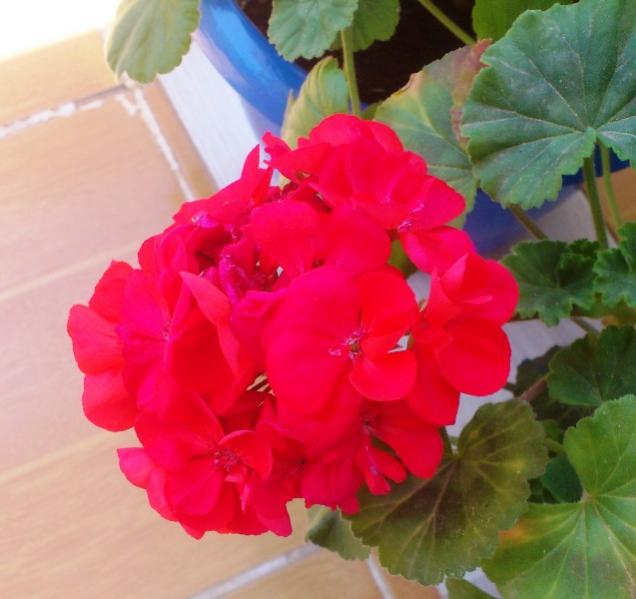 Name:  059.jpg
Views: 458
Size:  39.8 KB