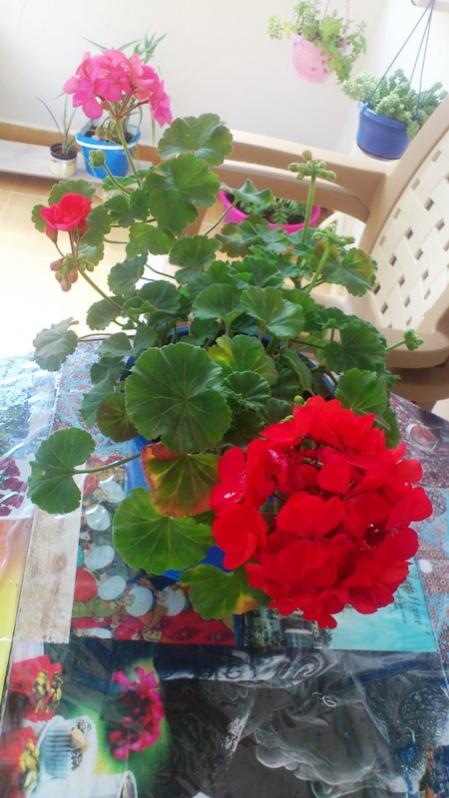 Name:  059.jpg
Views: 426
Size:  56.6 KB