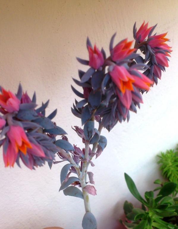 Name:  011.jpg
Views: 409
Size:  48.0 KB