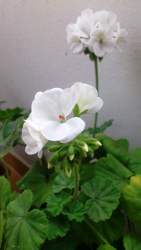 Name:  072.jpg
Views: 358
Size:  65.7 KB
