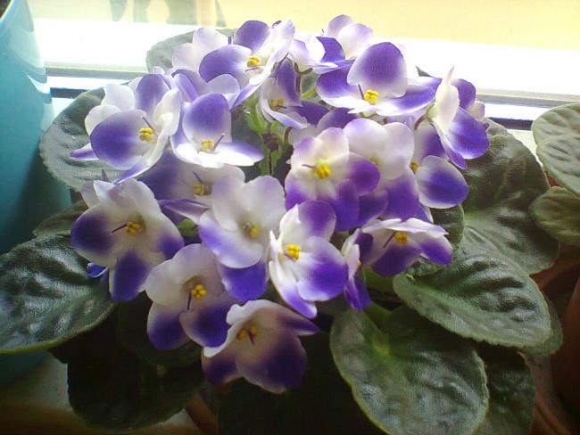 Name:  Fotoraf4219.jpg
Views: 529
Size:  45.0 KB