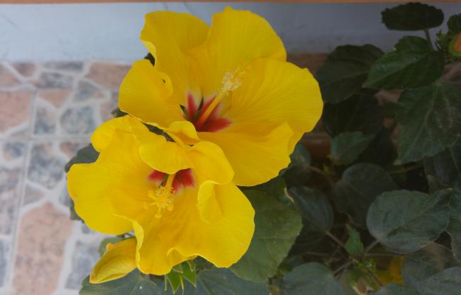 Name:  20160601_134623-1.jpg
Views: 367
Size:  26.3 KB