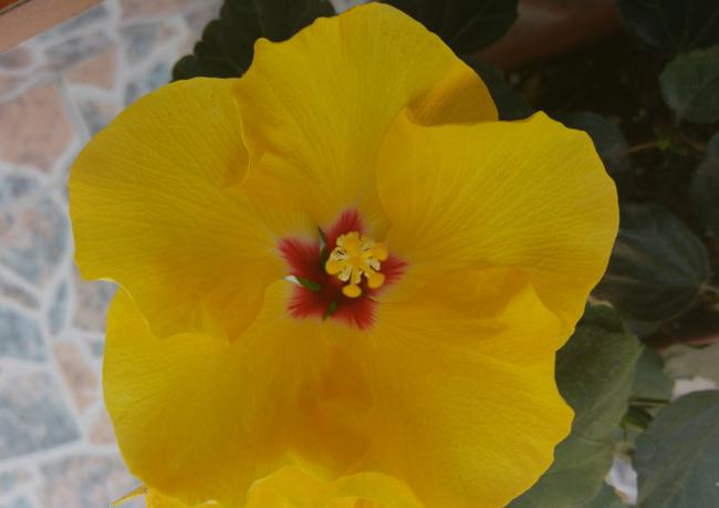 Name:  20160601_134633-1.jpg
Views: 357
Size:  24.1 KB