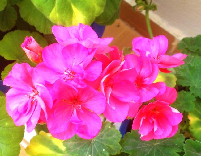 Name:  029.jpg
Views: 315
Size:  47.3 KB