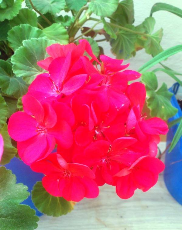 Name:  060.jpg
Views: 296
Size:  54.3 KB
