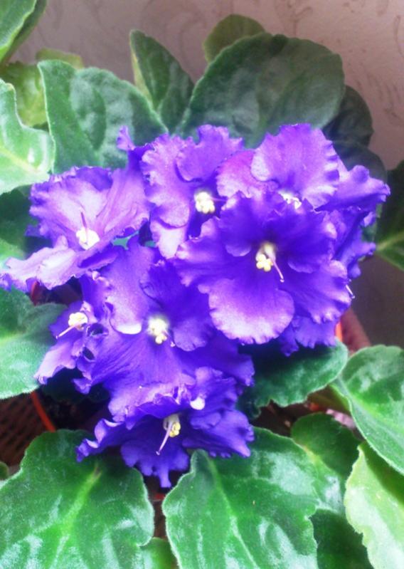 Name:  049.jpg
Views: 333
Size:  64.6 KB