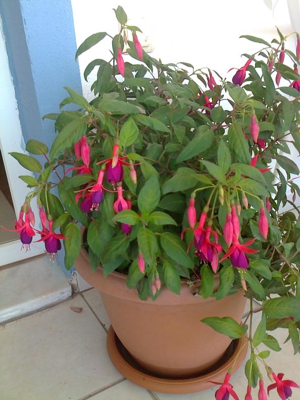 Name:  Fotoraf3903.jpg
Views: 481
Size:  72.8 KB
