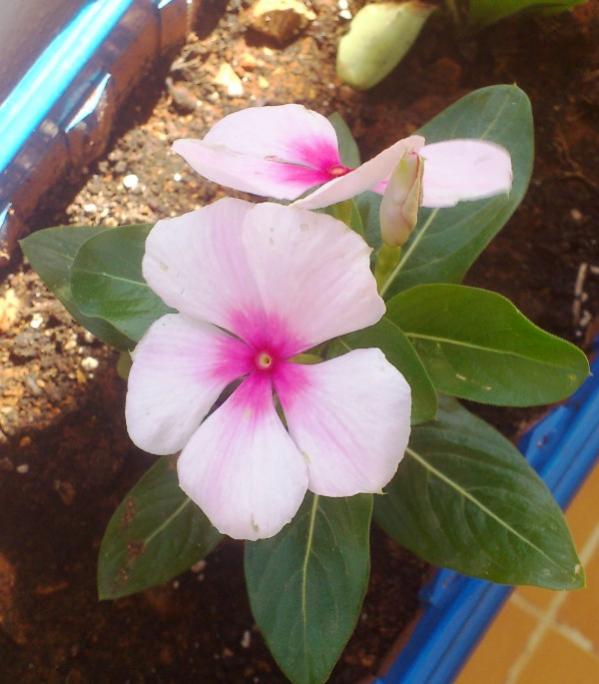 Name:  057.jpg
Views: 370
Size:  48.5 KB