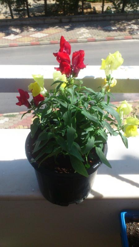 Name:  059.jpg
Views: 341
Size:  44.3 KB