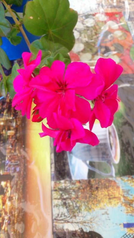 Name:  009.jpg
Views: 345
Size:  46.8 KB