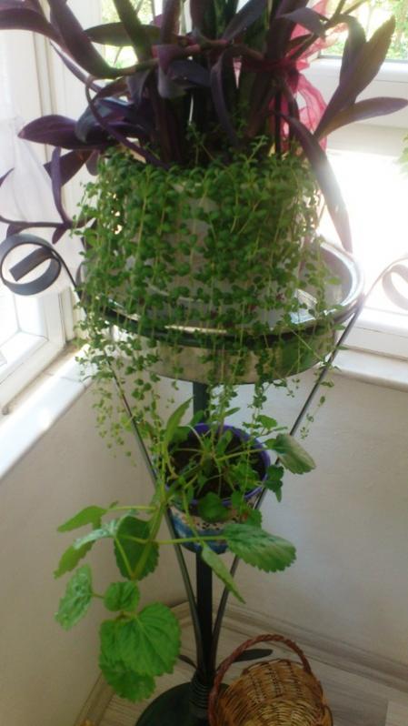 Name:  005.jpg
Views: 387
Size:  48.0 KB