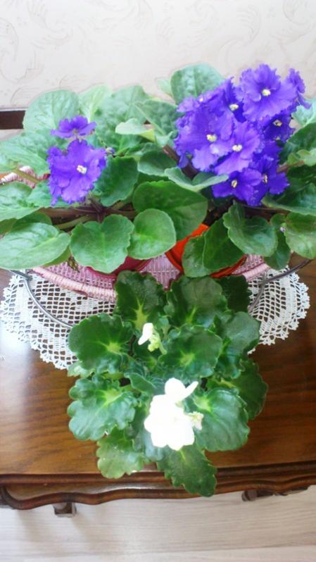 Name:  032.jpg
Views: 314
Size:  54.6 KB