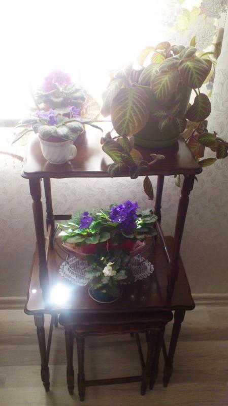 Name:  070.jpg
Views: 317
Size:  37.6 KB