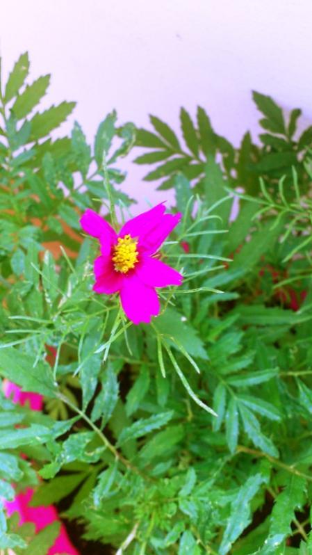 Name:  039.jpg
Views: 422
Size:  49.9 KB