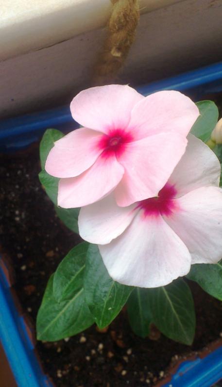 Name:  044.jpg
Views: 439
Size:  34.0 KB