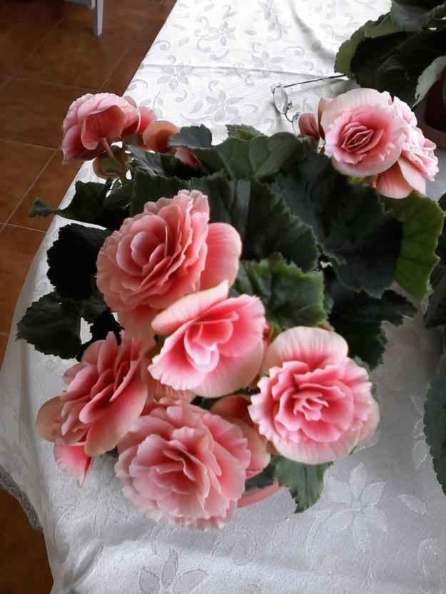 Name:  20160614_112610.jpg
Views: 328
Size:  71.4 KB