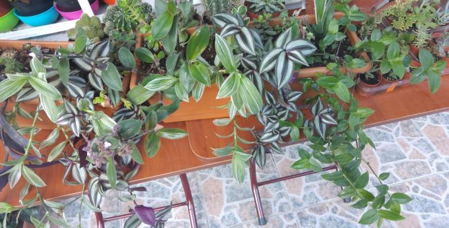 Name:  20160616_195203-1.jpg
Views: 519
Size:  54.4 KB