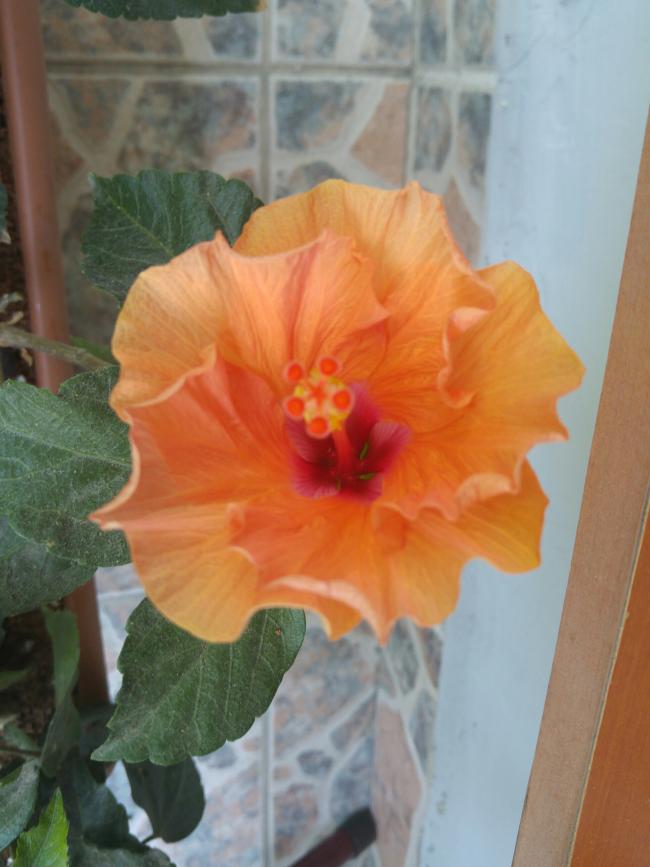 Name:  20160624_121159-1.jpg
Views: 439
Size:  53.3 KB