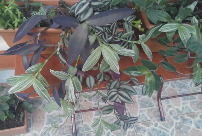 Name:  20160625_204914-1.jpg
Views: 418
Size:  49.9 KB