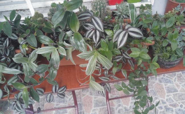 Name:  20160625_204920-1.jpg
Views: 558
Size:  48.9 KB