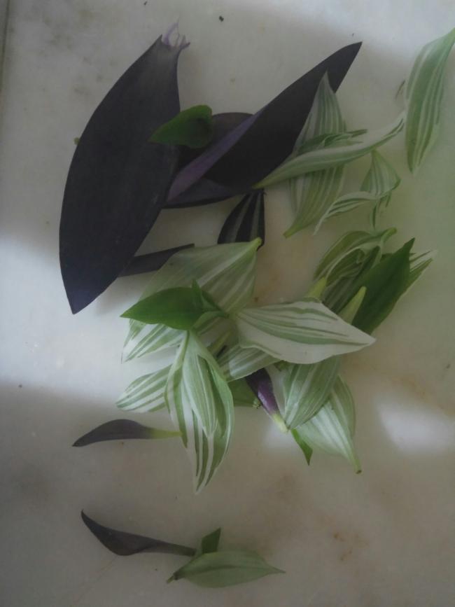Name:  20160625_205257-1.jpg
Views: 396
Size:  34.8 KB