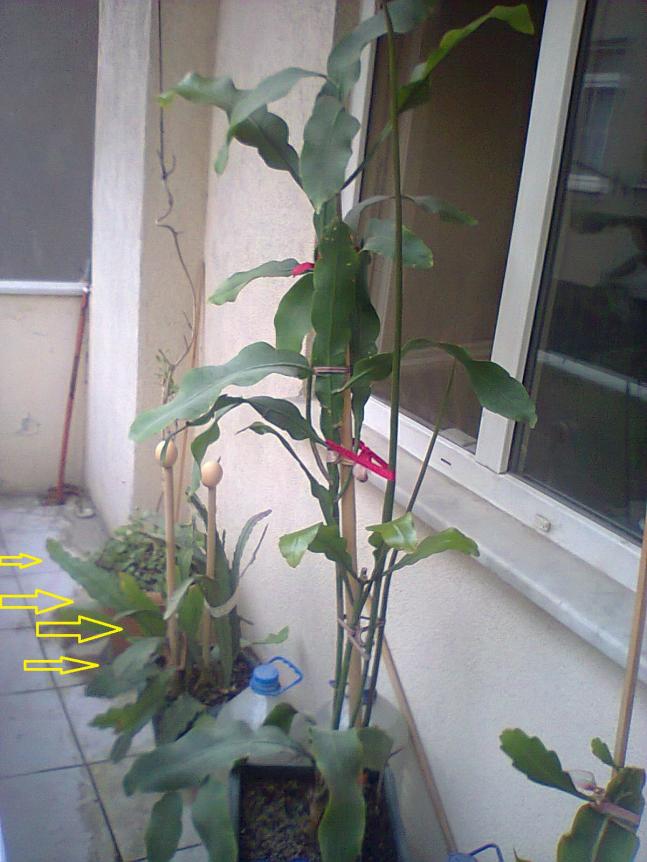 Name:  5-1.jpg
Views: 448
Size:  69.6 KB