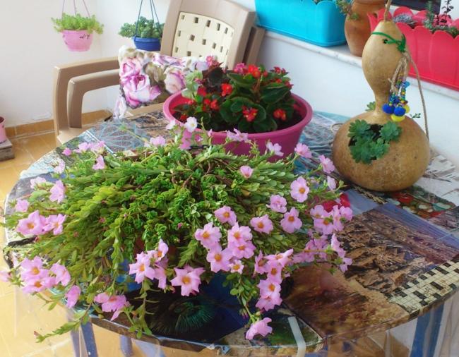 Name:  028.jpg
Views: 290
Size:  69.3 KB