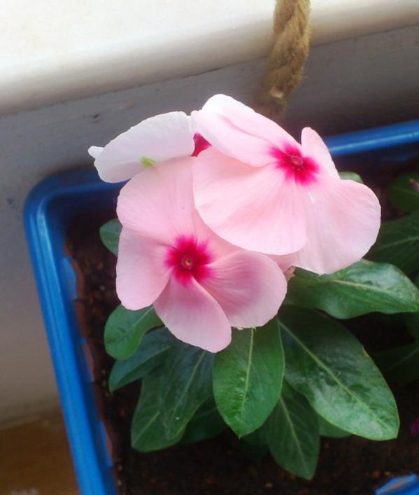 Name:  032.jpg
Views: 273
Size:  36.4 KB