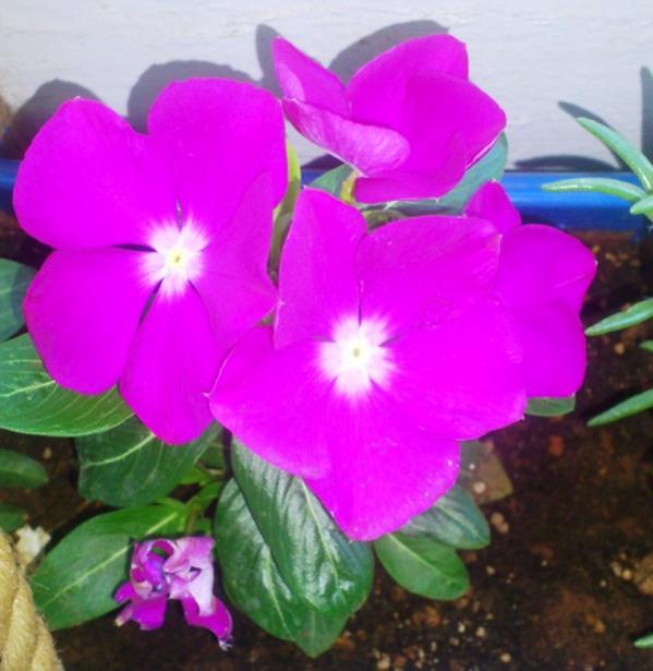 Name:  008.jpg
Views: 282
Size:  42.8 KB