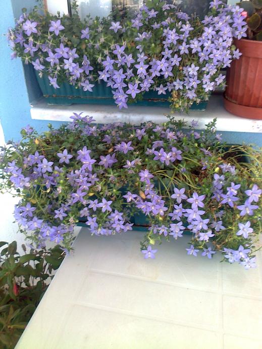 Name:  Fotoraf4050.jpg
Views: 375
Size:  75.9 KB
