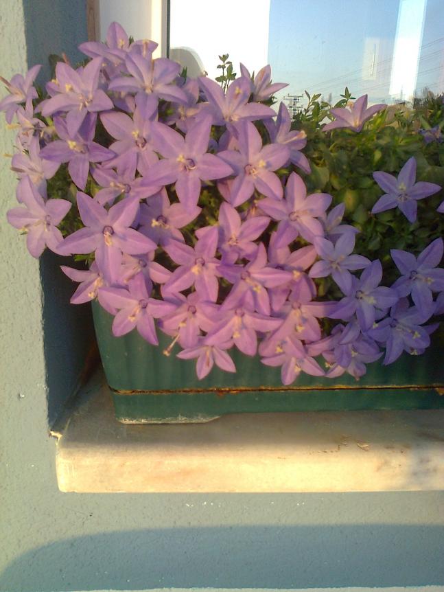 Name:  Fotoraf4046.jpg
Views: 612
Size:  69.8 KB
