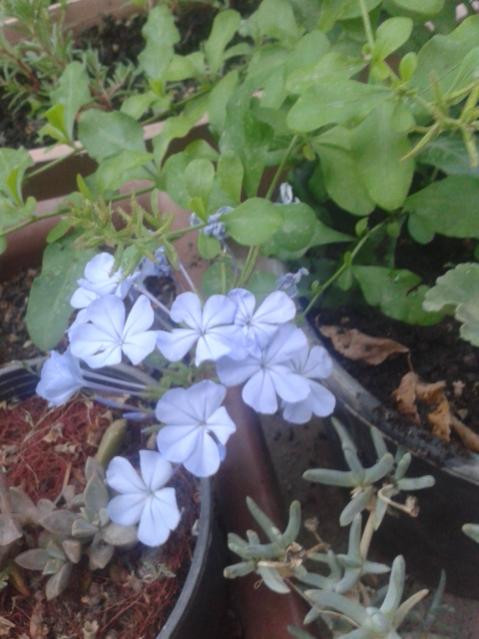 Name:  20160613_200409.jpg
Views: 395
Size:  43.3 KB