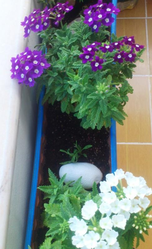Name:  031.jpg
Views: 471
Size:  56.1 KB