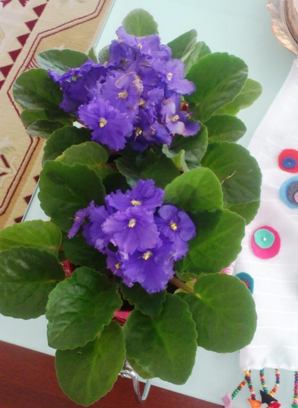 Name:  024.jpg
Views: 521
Size:  55.3 KB