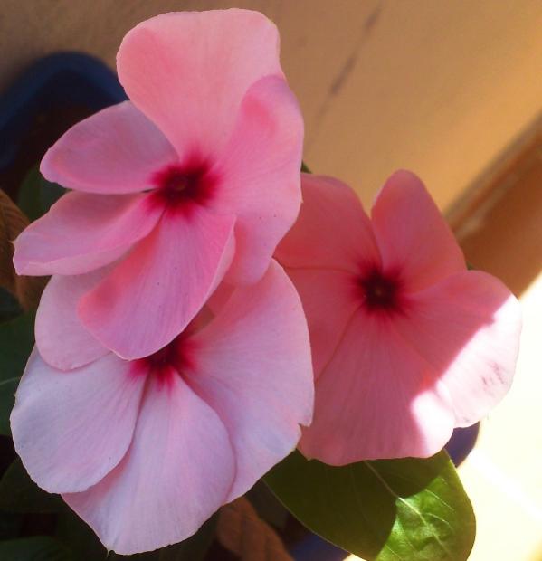 Name:  097.jpg
Views: 506
Size:  29.3 KB
